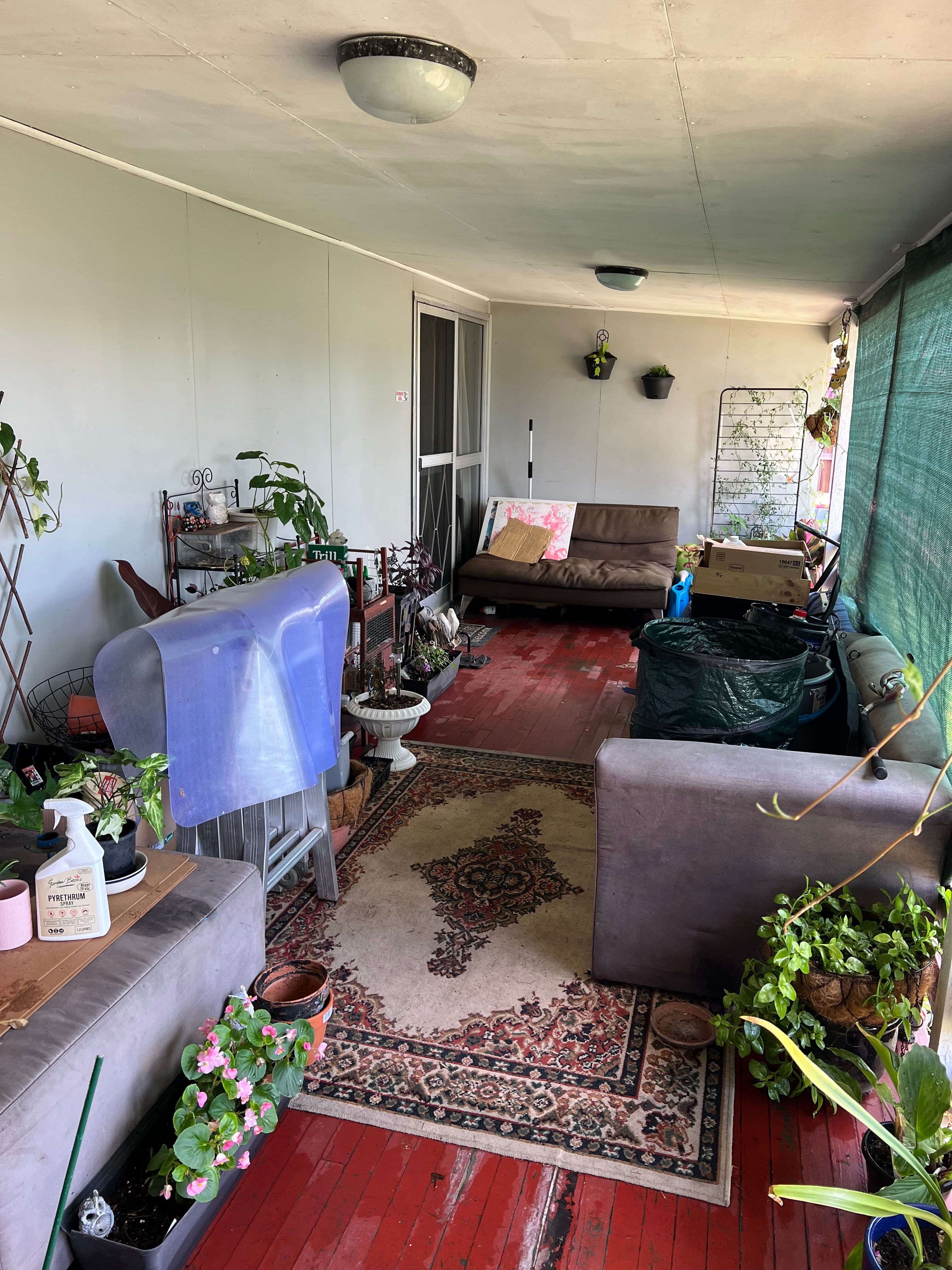 38 Cardigan Street, Granville QLD 4650, Granville - Thumbnail 2