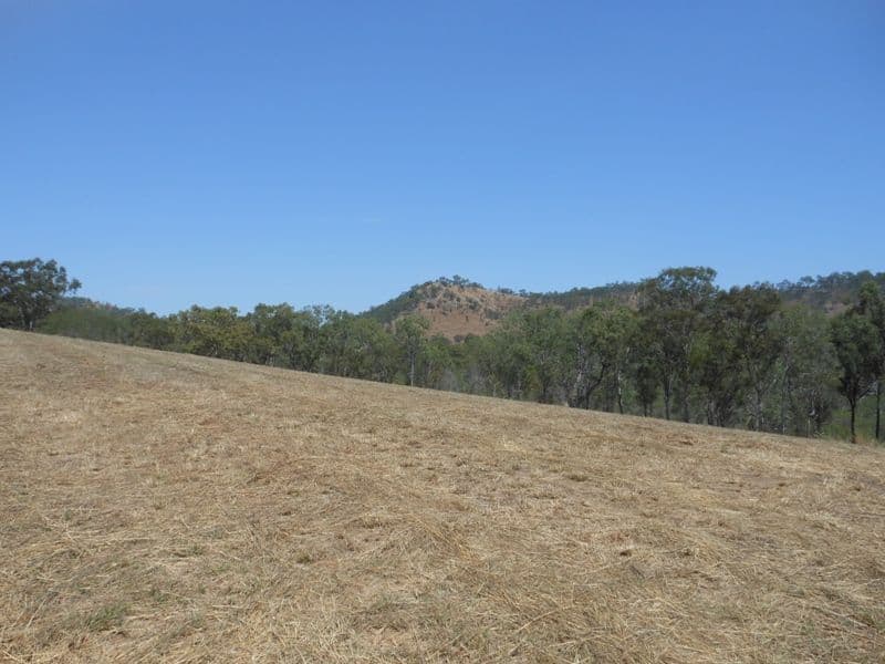 65 Tunnel Road, GIN GIN QLD 4671, Gin Gin - Image 1