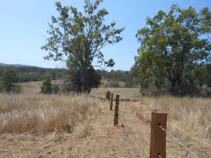 65 Tunnel Road, GIN GIN QLD 4671, Gin Gin - Thumbnail 2