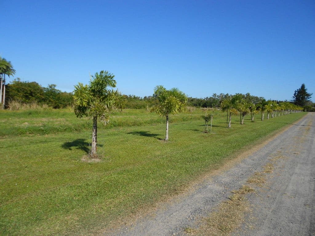 Lot 69 Louis Road, South Innisfail QLD 4860, South Innisfail - Image 1