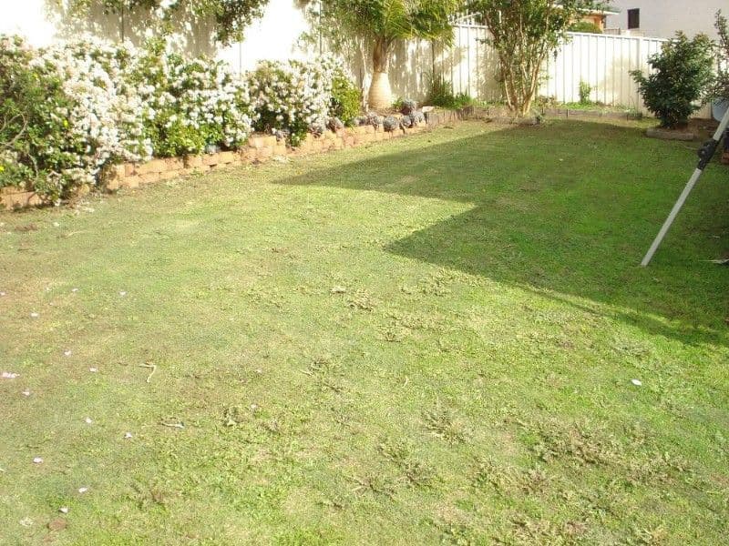 14 Gilmore Avenue, CASULA NSW 2170, Casula - Thumbnail 8