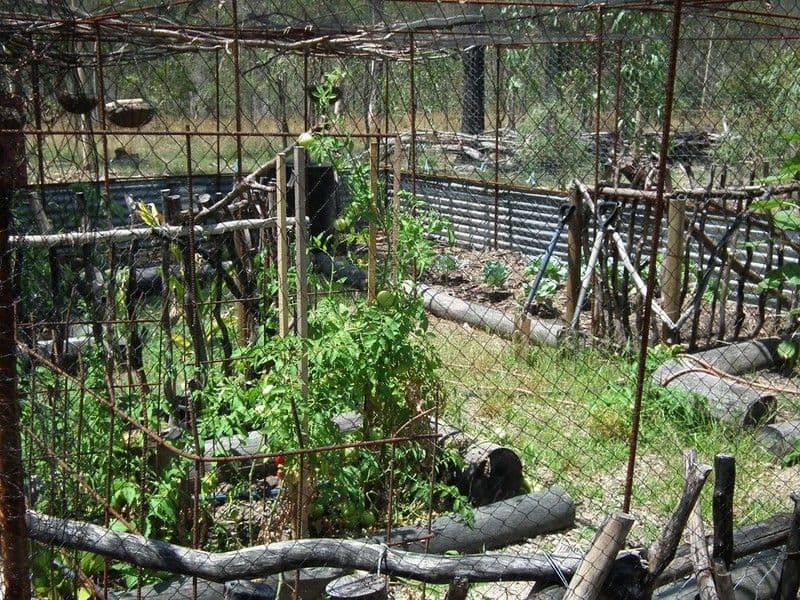 Lot 2 Gigoomgan Road, BROOWEENA QLD 4620, Brooweena - Thumbnail 6