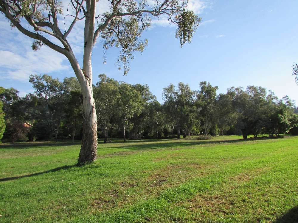 34 Baranbale Way, Springdale Heights - Thumbnail 8