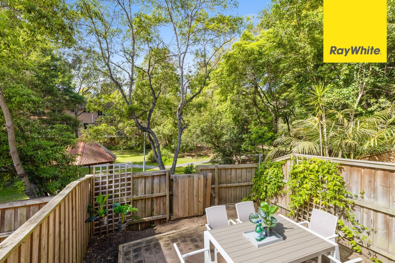 17 Taranto Road, Marsfield NSW 2122, Marsfield - Thumbnail 4