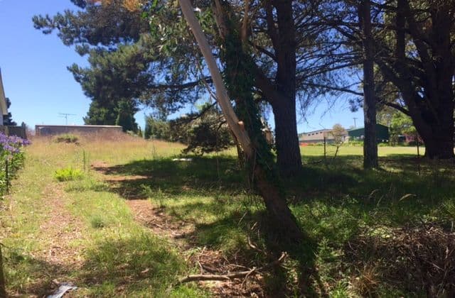 7 Ailsa Street, Mount Victoria NSW 2786, Mount Victoria - Thumbnail 2