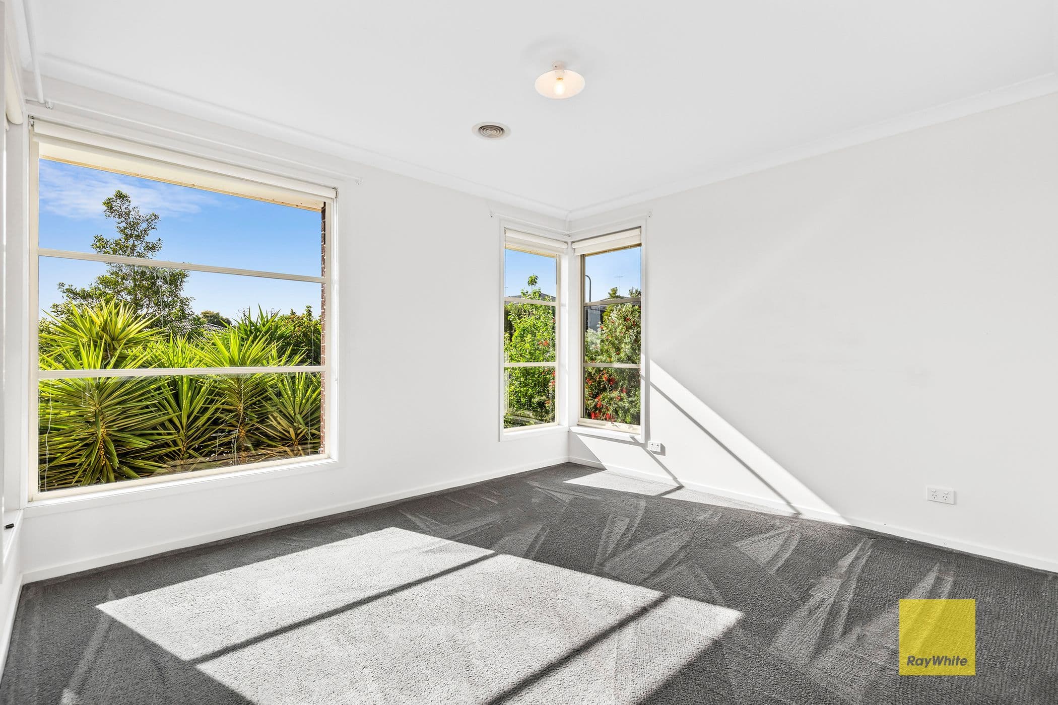181 Grantham Drive, Highton VIC 3216, Highton - Thumbnail 6