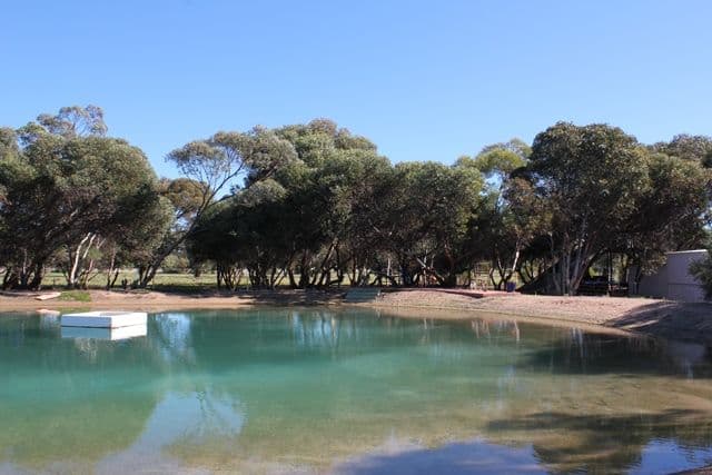 32 Bonniefield Road East, Bonniefield WA 6525, Bonniefield - Thumbnail 4