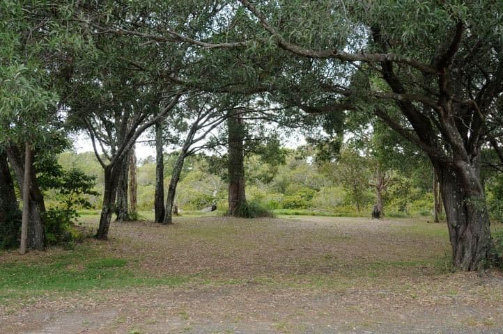 108 Melaleuca Drive, Yamba NSW 2464, Yamba - Thumbnail 2