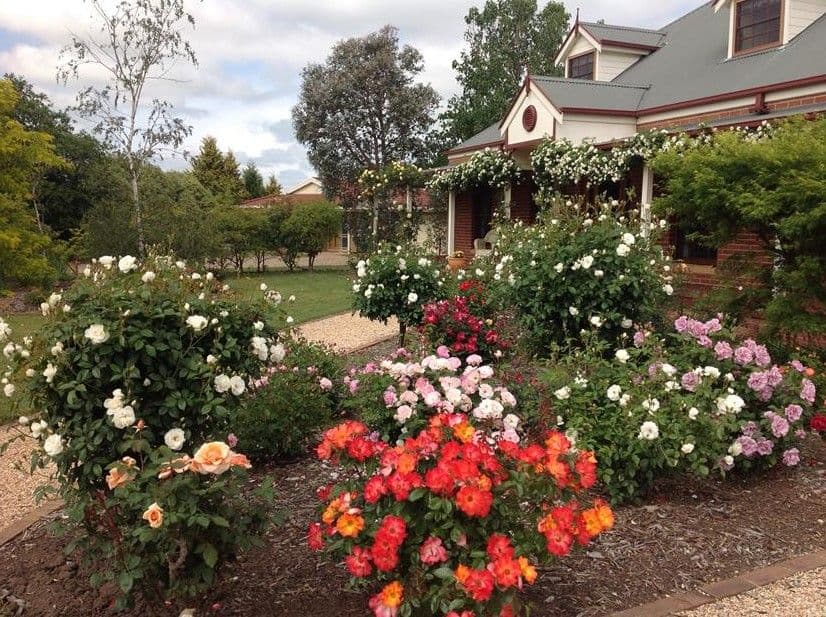 8 St Martins Grove, Bowral NSW 2576, Bowral - Thumbnail 3