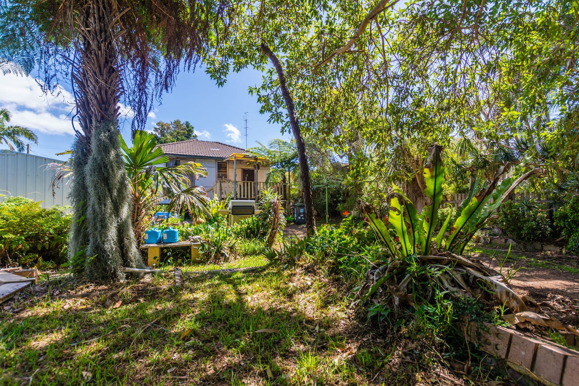 31 Westmacott Parade, Bulli - Thumbnail 5