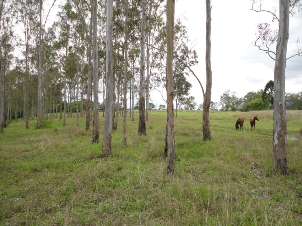 7 Keith Street, Bundamba QLD 4304, Bundamba - Thumbnail 5