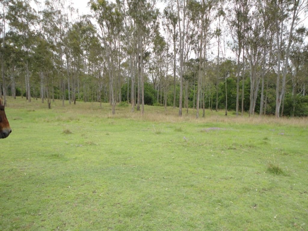 7 Keith Street, Bundamba QLD 4304, Bundamba - Thumbnail 6