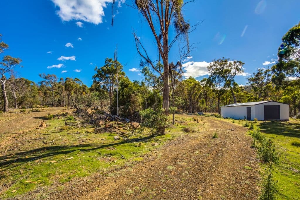 40106 Tasman Highway, Nunamara TAS 7259, Nunamara - Thumbnail 5