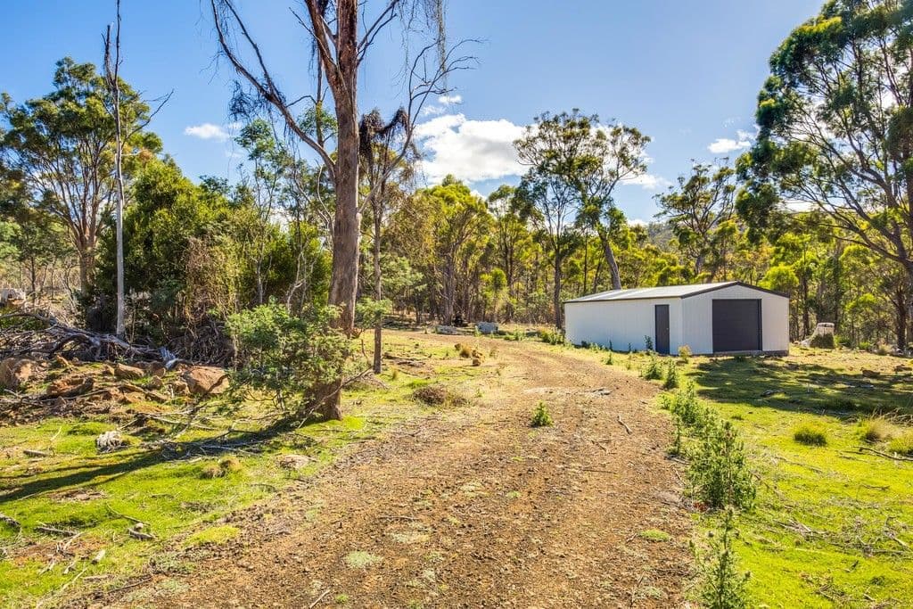 40106 Tasman Highway, Nunamara TAS 7259, Nunamara - Thumbnail 6