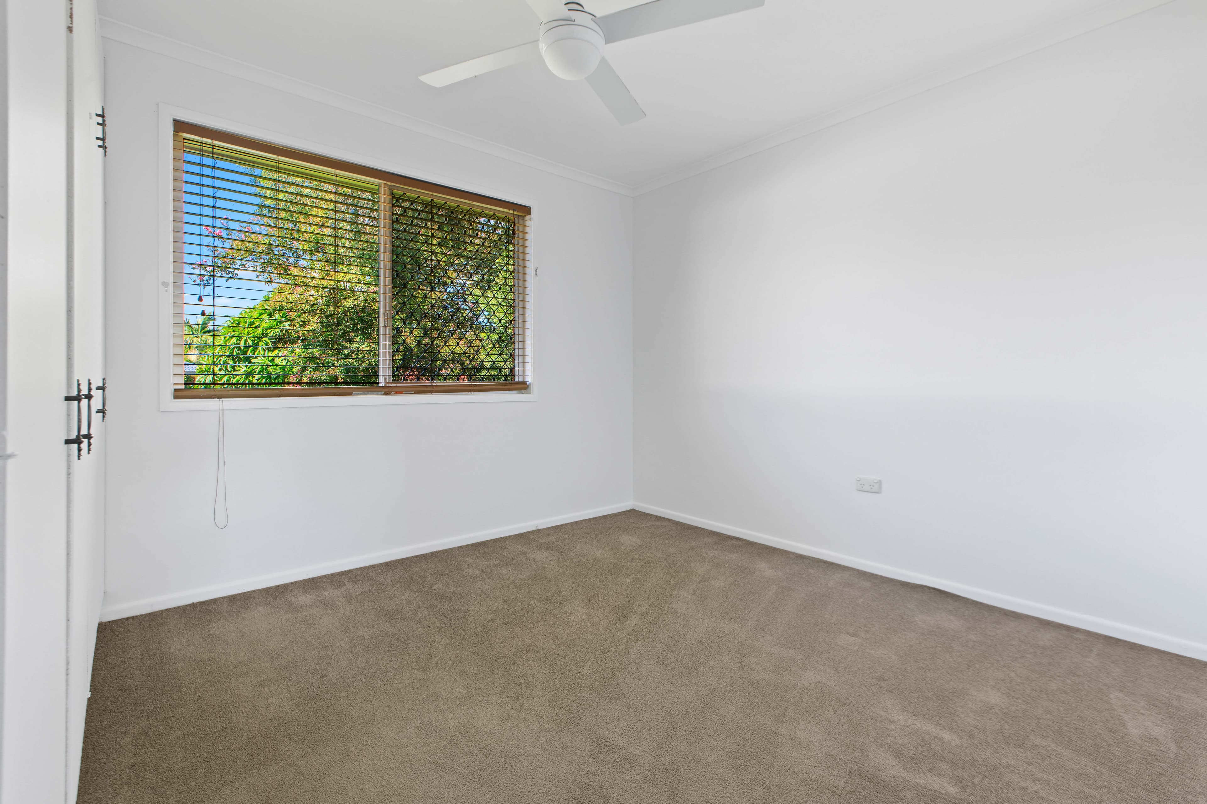 50 Swanson Parade, Carina QLD 4152, Carina - Thumbnail 7