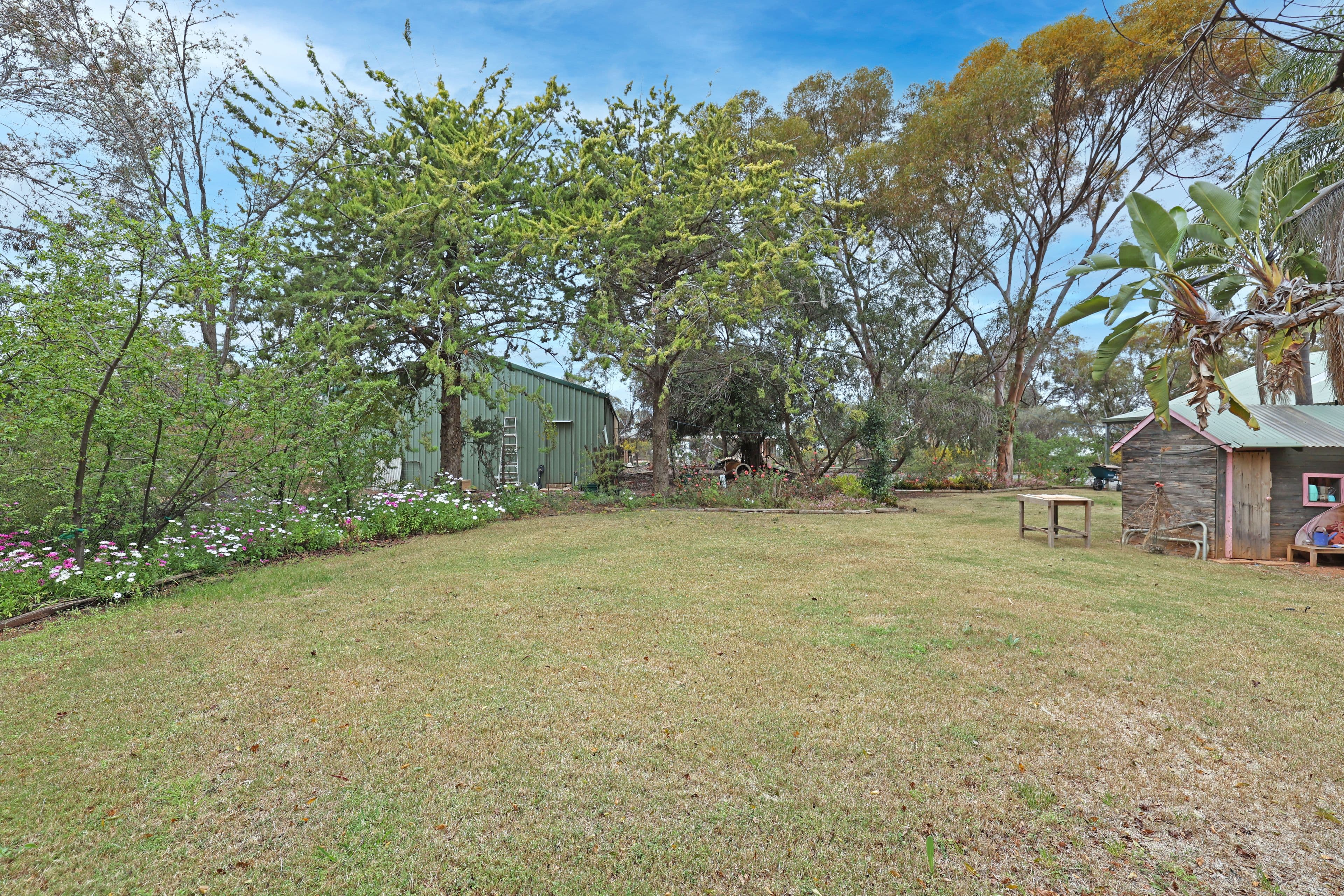 2 Kokoda Court, Robinvale VIC 3549, Robinvale - Thumbnail 3