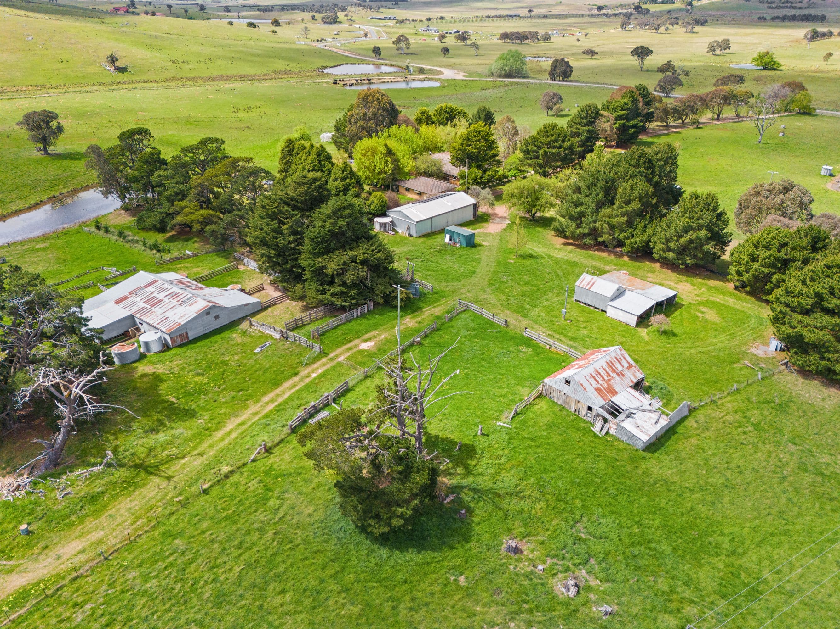 883 Spring Range Road, Springrange NSW 2618, Springrange - Thumbnail 3