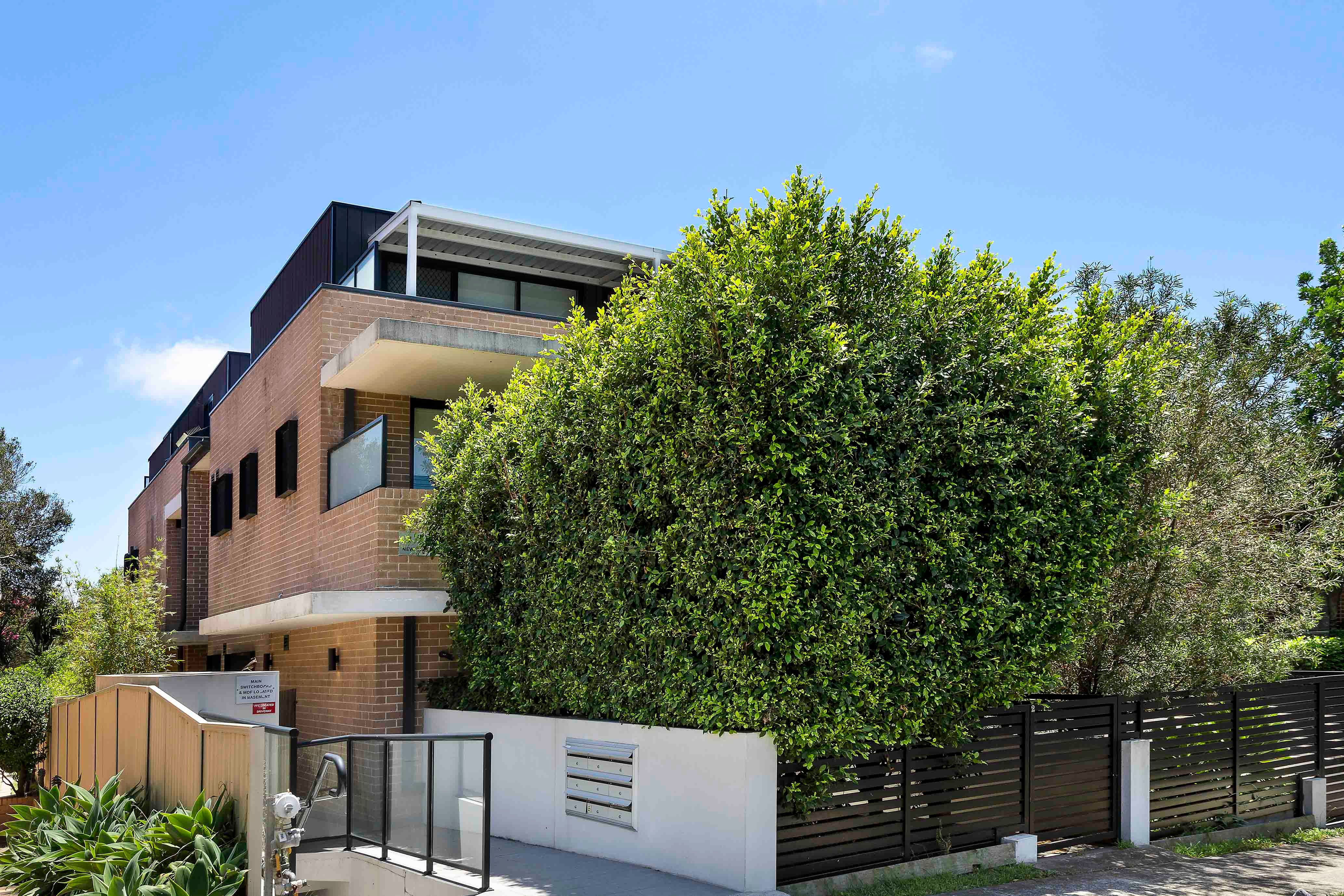 18 New Orleans Crescent, Maroubra NSW 2035, Maroubra - Thumbnail 5