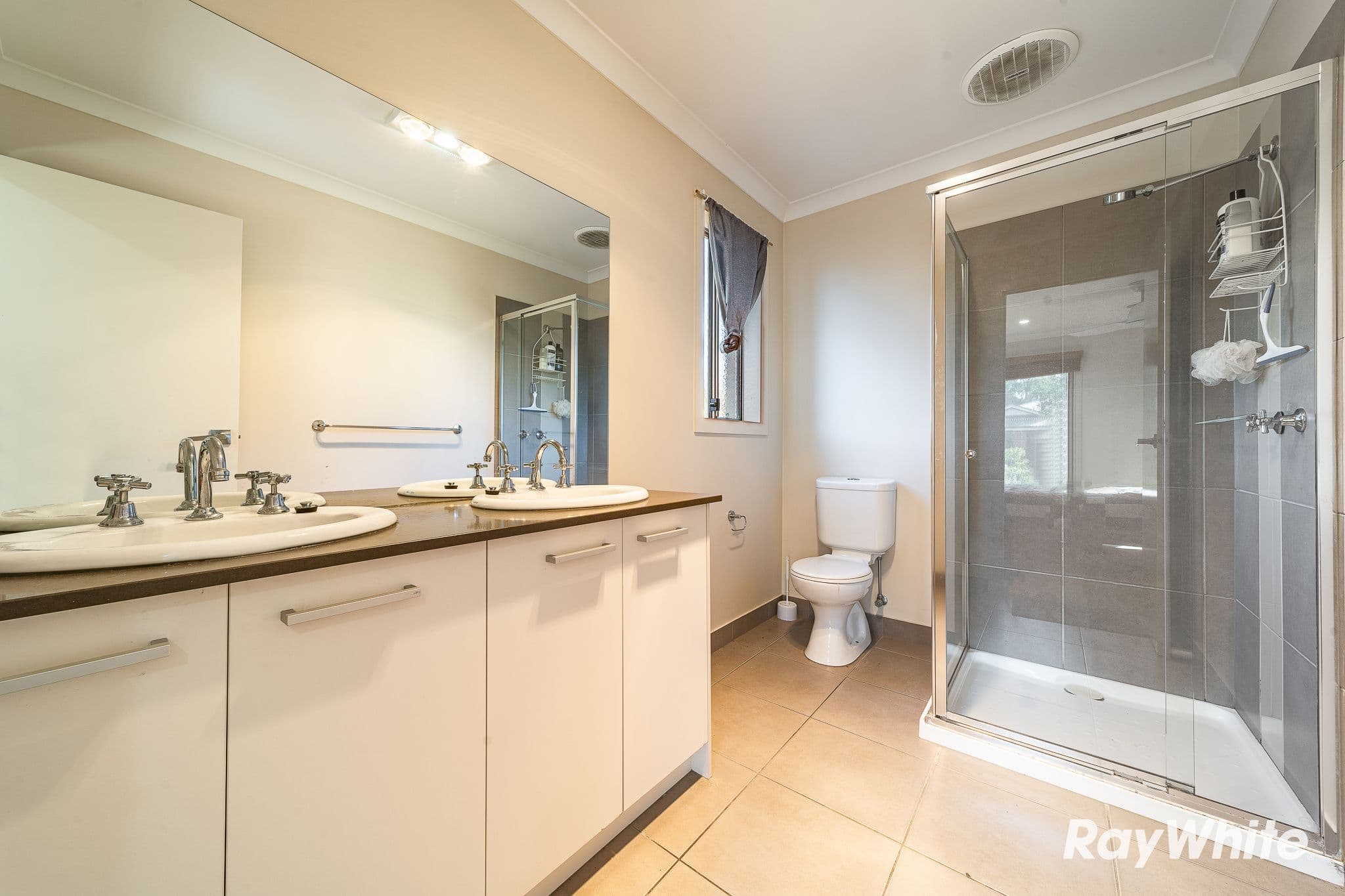 19 Triplett Avenue, Ascot VIC 3551, Ascot - Thumbnail 6