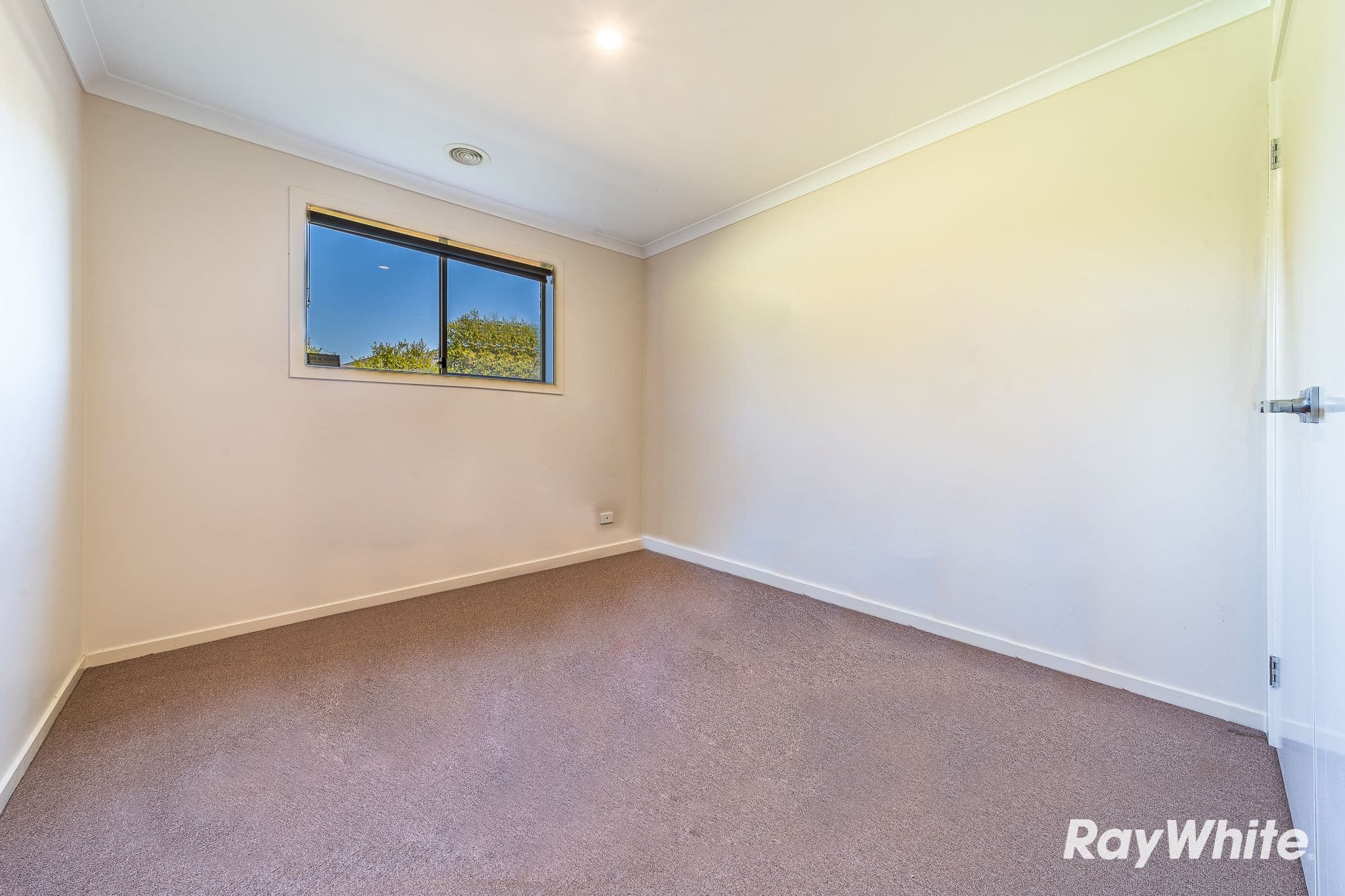 19 Triplett Avenue, Ascot VIC 3551, Ascot - Thumbnail 7