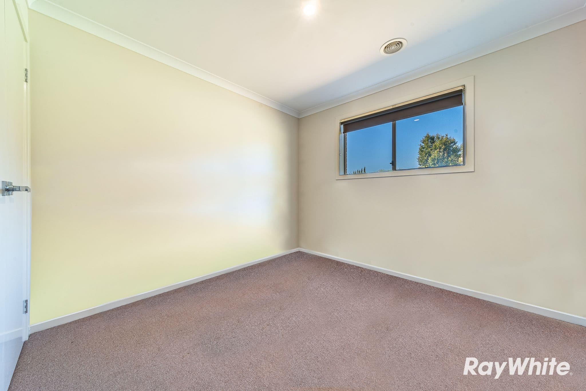 19 Triplett Avenue, Ascot VIC 3551, Ascot - Thumbnail 8