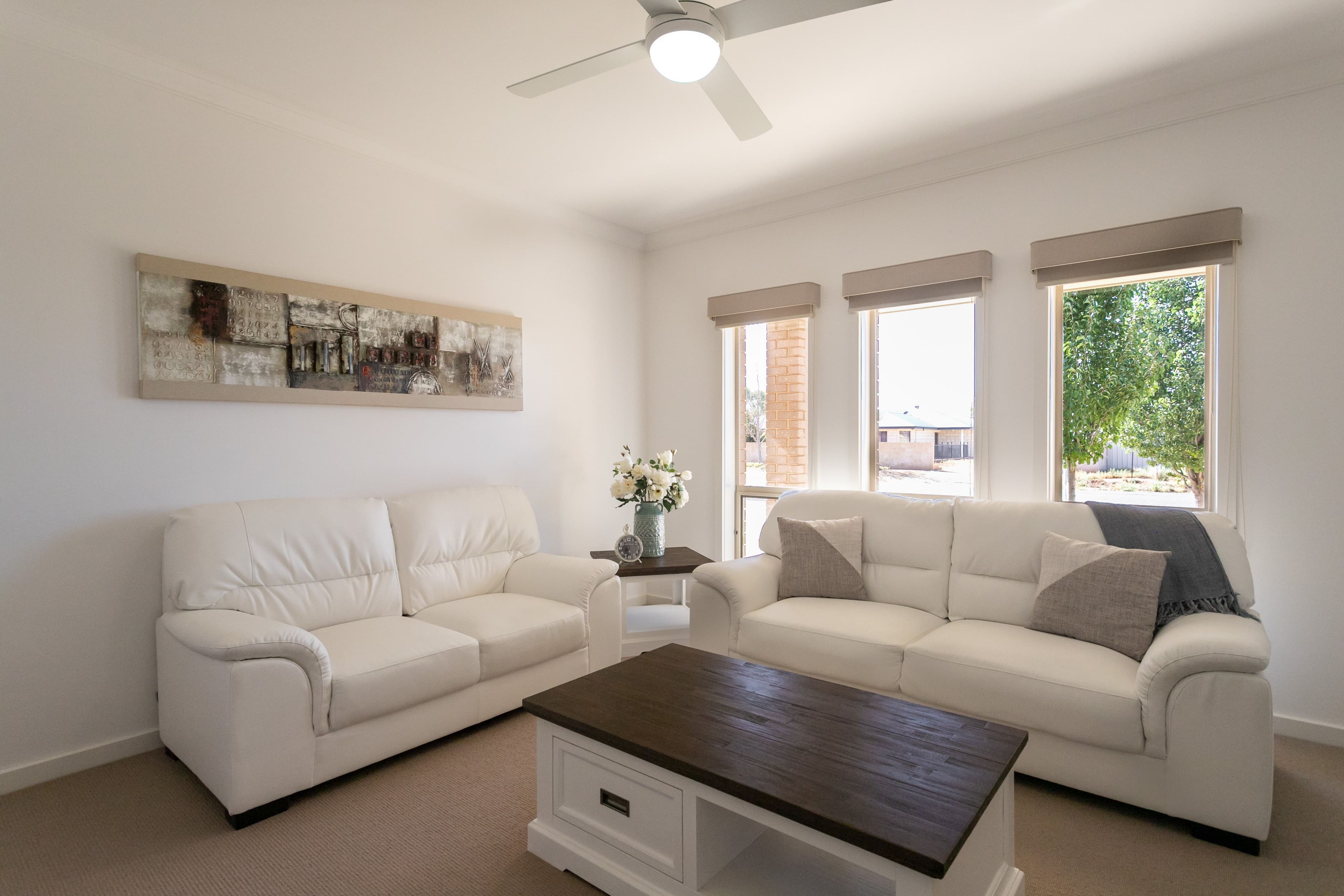 51 Brooke Street, Barmera SA 5345, Barmera - Thumbnail 4