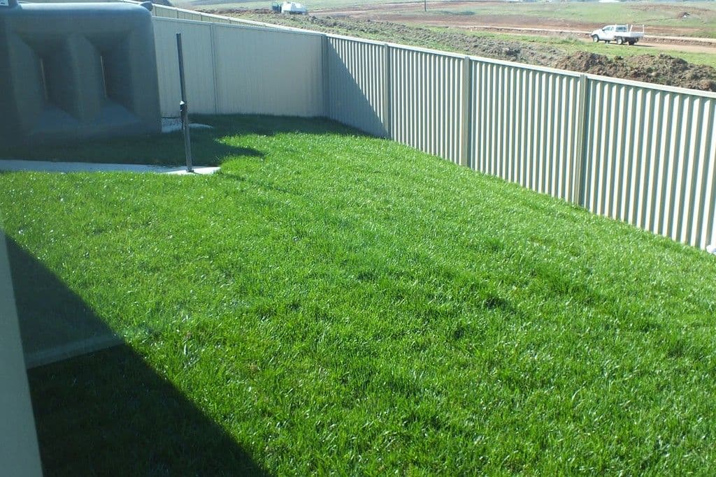 77 Graham Drive, Kelso - Thumbnail 7