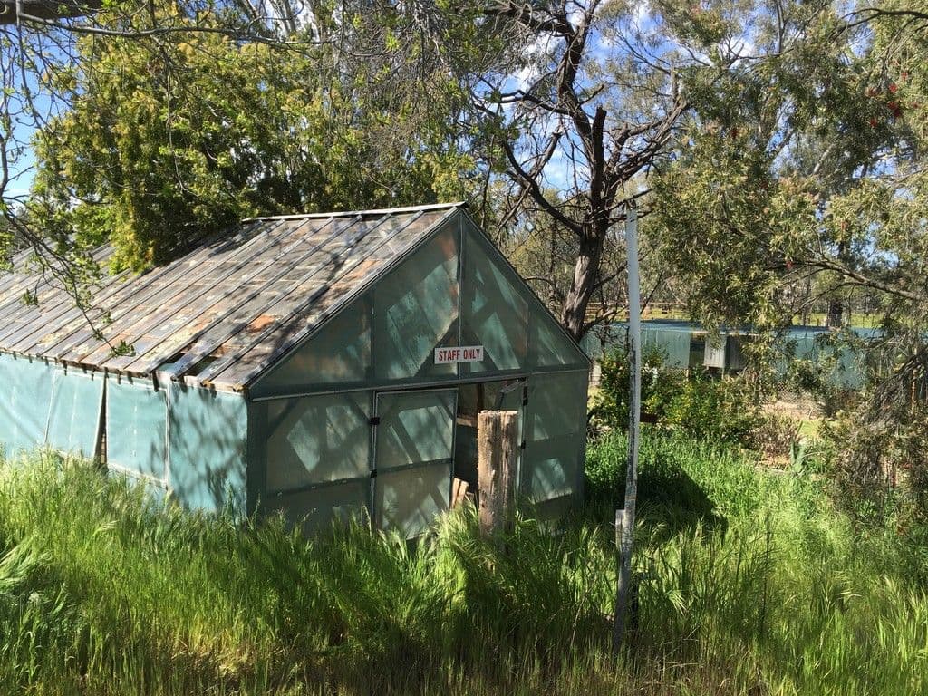 14-16 Hankinson Street, Narrandera NSW 2700, Narrandera - Thumbnail 2