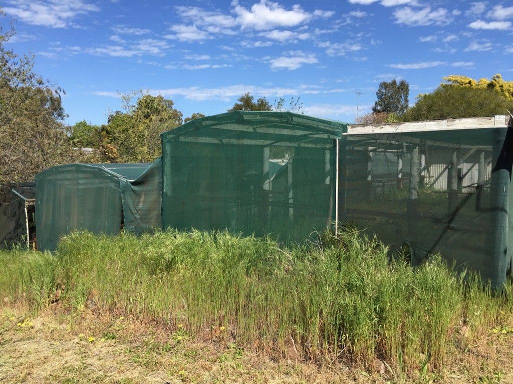 14-16 Hankinson Street, Narrandera NSW 2700, Narrandera - Thumbnail 3