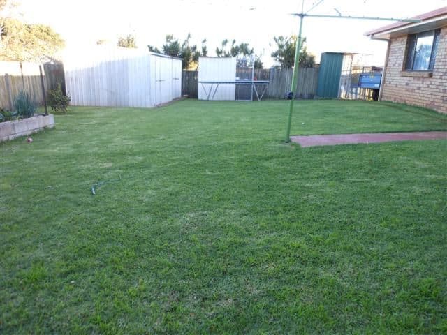 10 Maison Court, WILSONTON HEIGHTS QLD 4350, Wilsonton Heights - Thumbnail 8