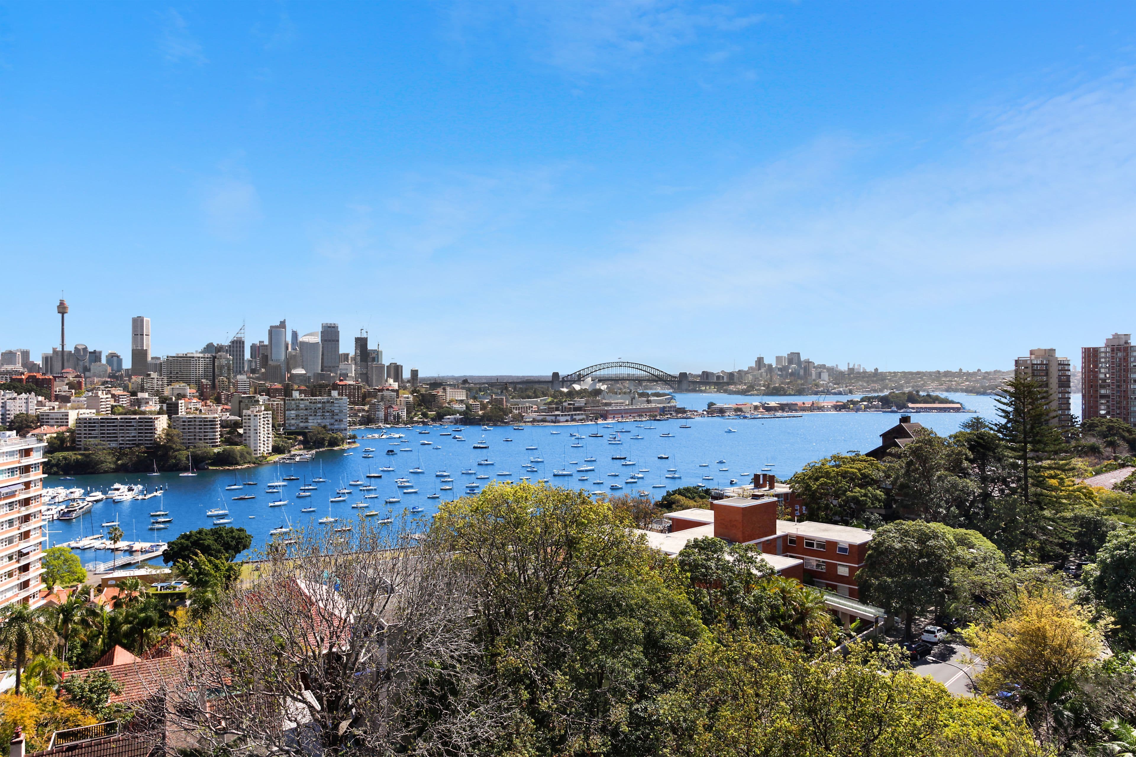 81 Darling Point Road, Darling Point NSW 2027, Darling Point - Thumbnail 3