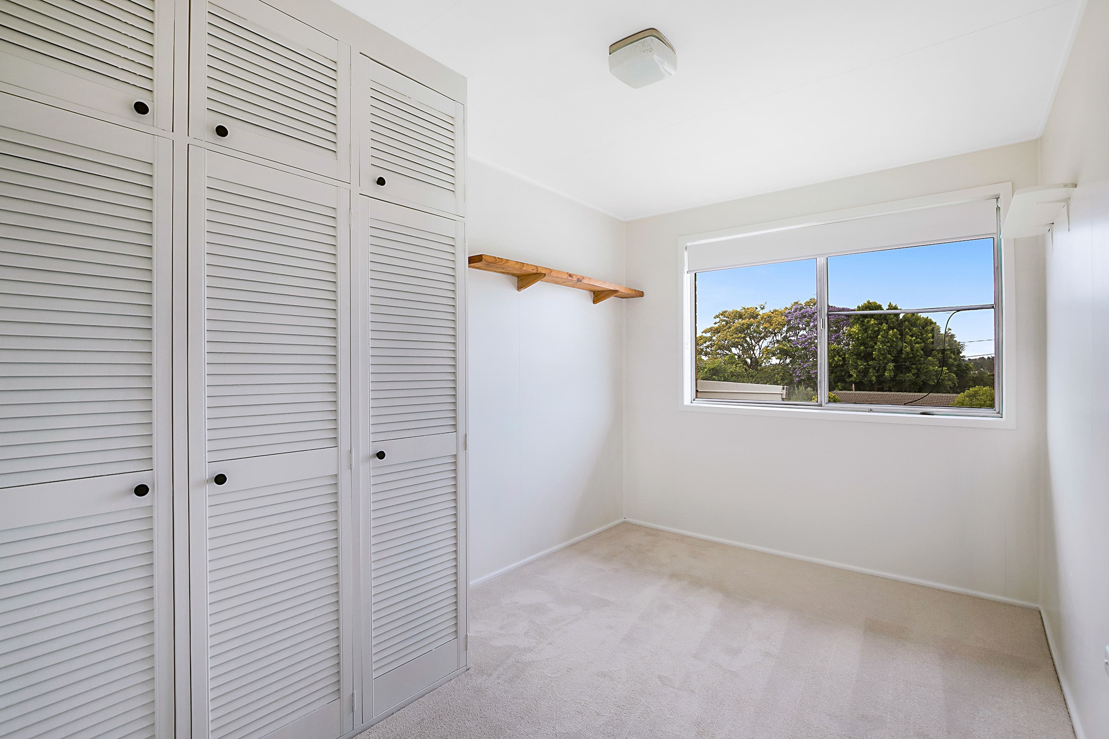 6 Veronica Court, Centenary Heights QLD 4350, Centenary Heights - Thumbnail 6