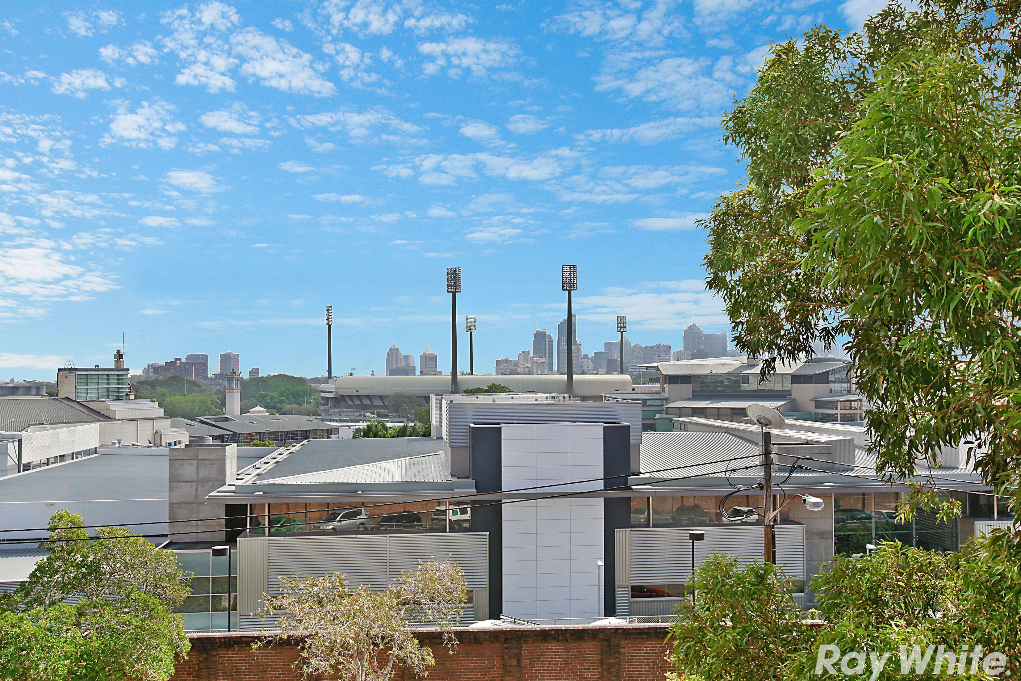 121-125 Cook Road, Centennial Park NSW 2021, Centennial Park - Thumbnail 4