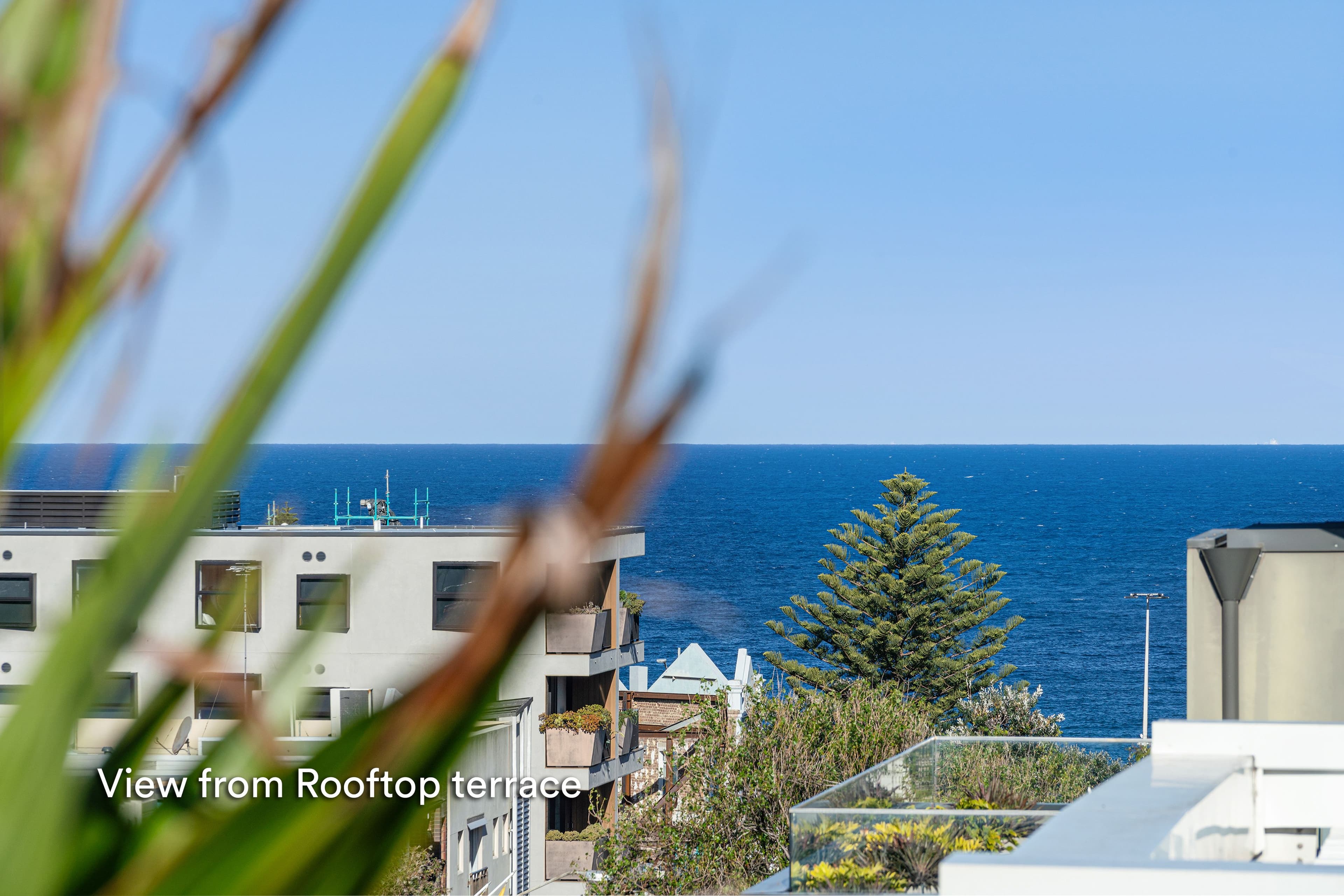 50 Hall Street, Bondi Beach NSW 2026, Bondi Beach - Thumbnail 6