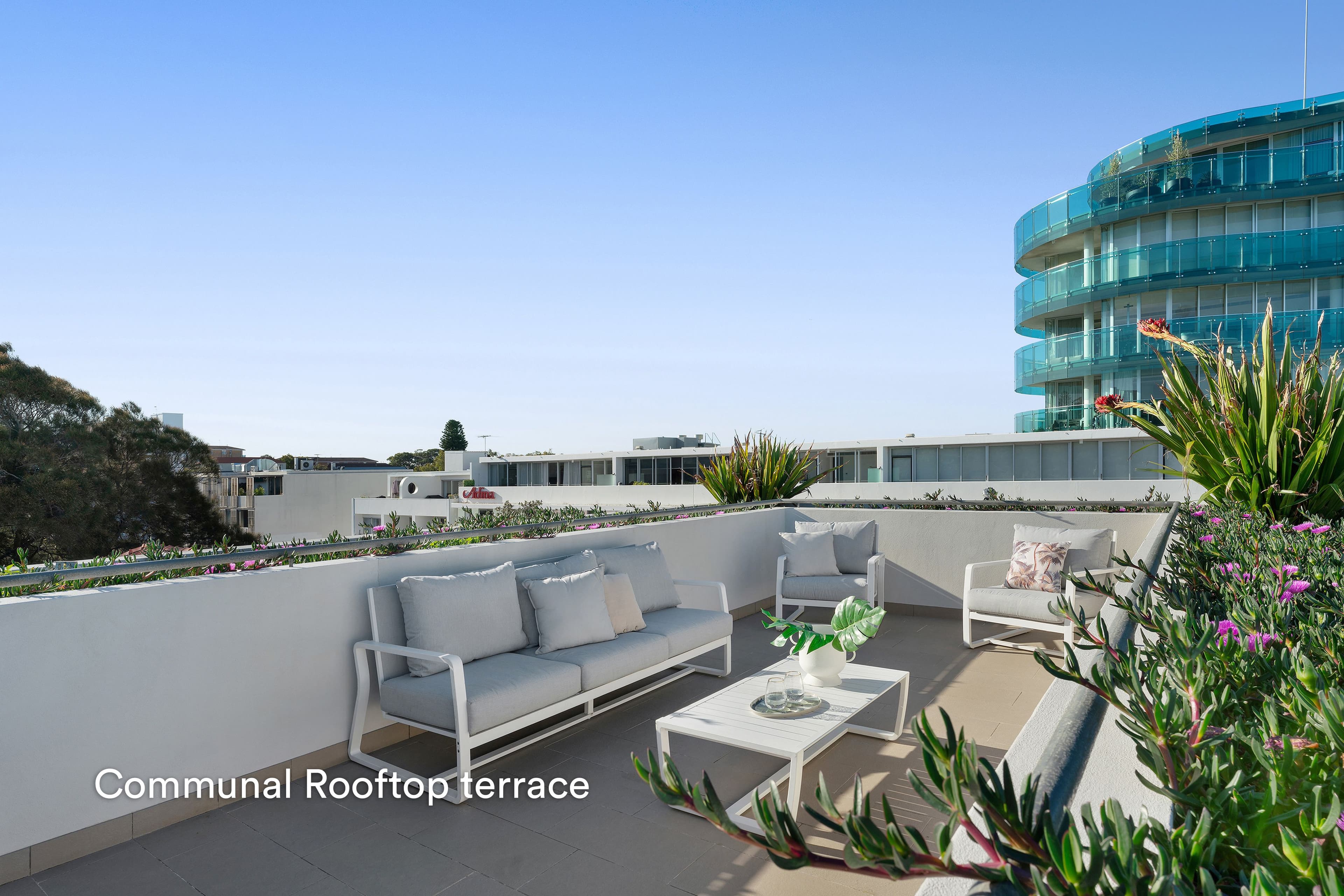 50 Hall Street, Bondi Beach NSW 2026, Bondi Beach - Thumbnail 7