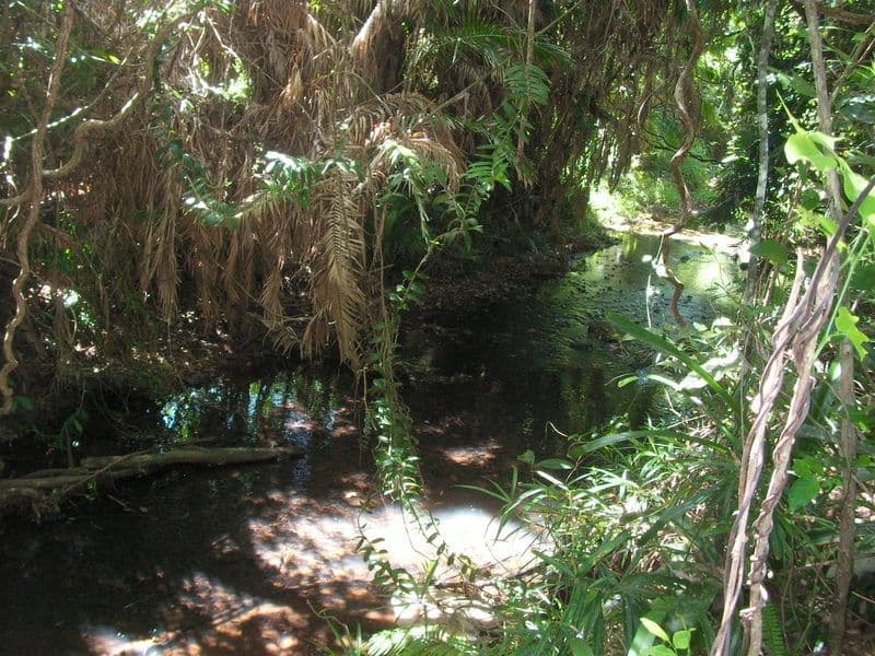 97 Gibson Road, Mena Creek QLD 4871, Mena Creek - Thumbnail 6