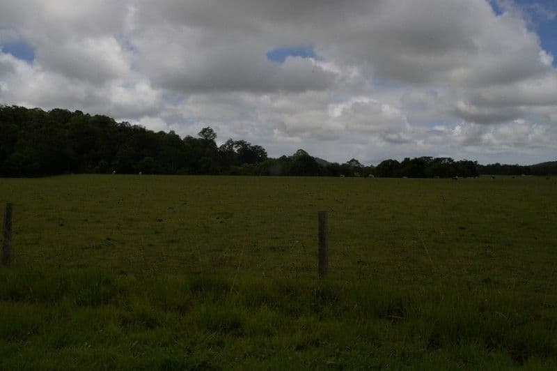 YANDINA QLD 4561, Yandina - Image 1