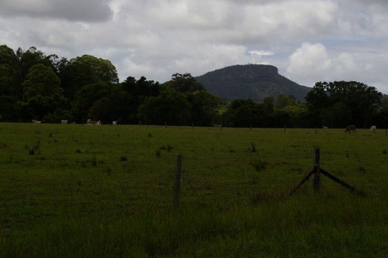 YANDINA QLD 4561, Yandina - Thumbnail 4