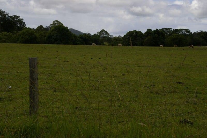 YANDINA QLD 4561, Yandina - Thumbnail 5