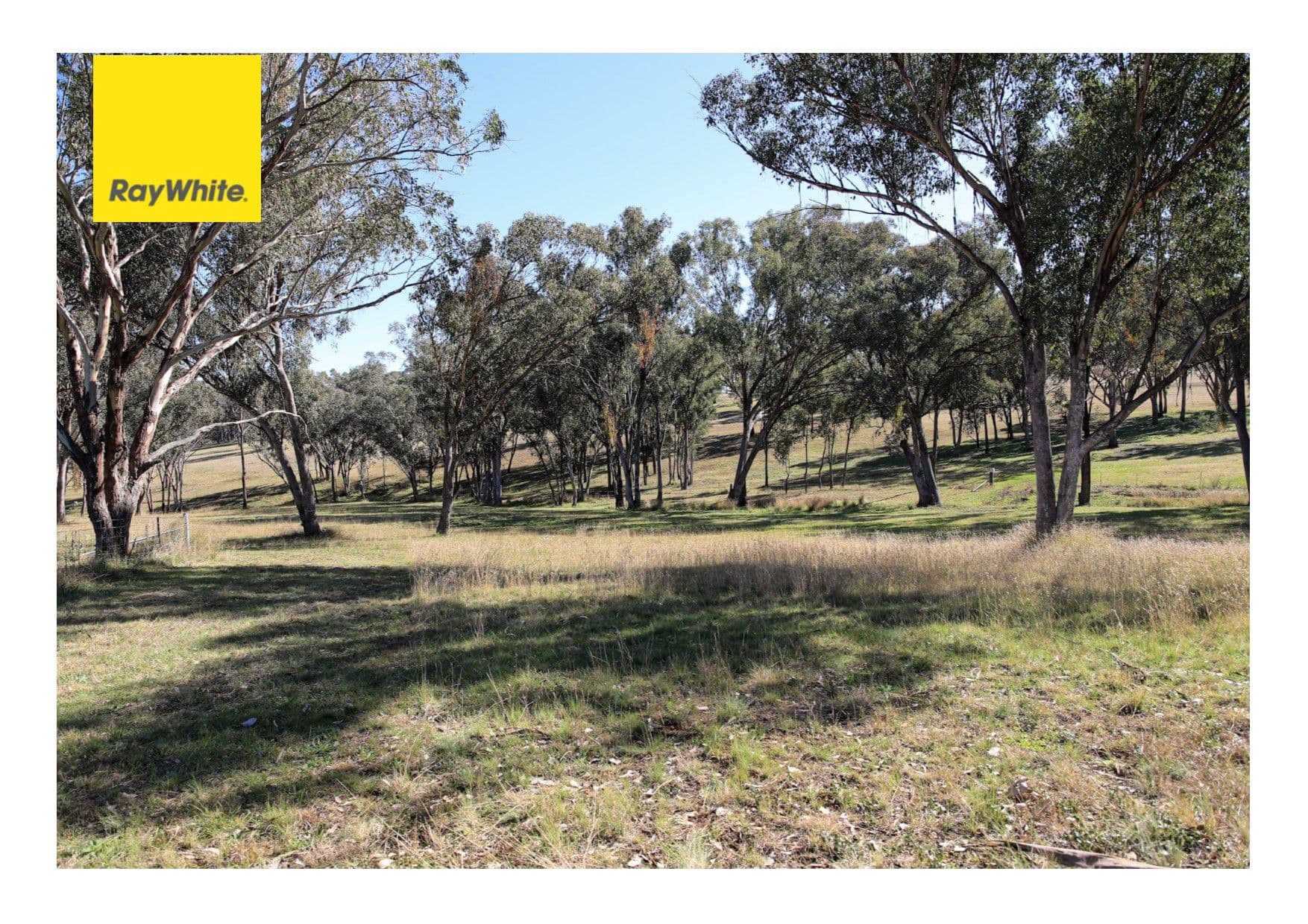 Lot 31 Sylvan Drive, Inverell NSW 2360, Inverell - Image 1