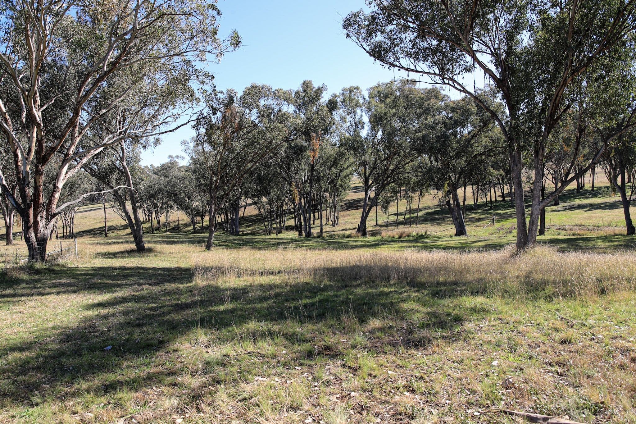 Lot 31 Sylvan Drive, Inverell NSW 2360, Inverell - Thumbnail 2