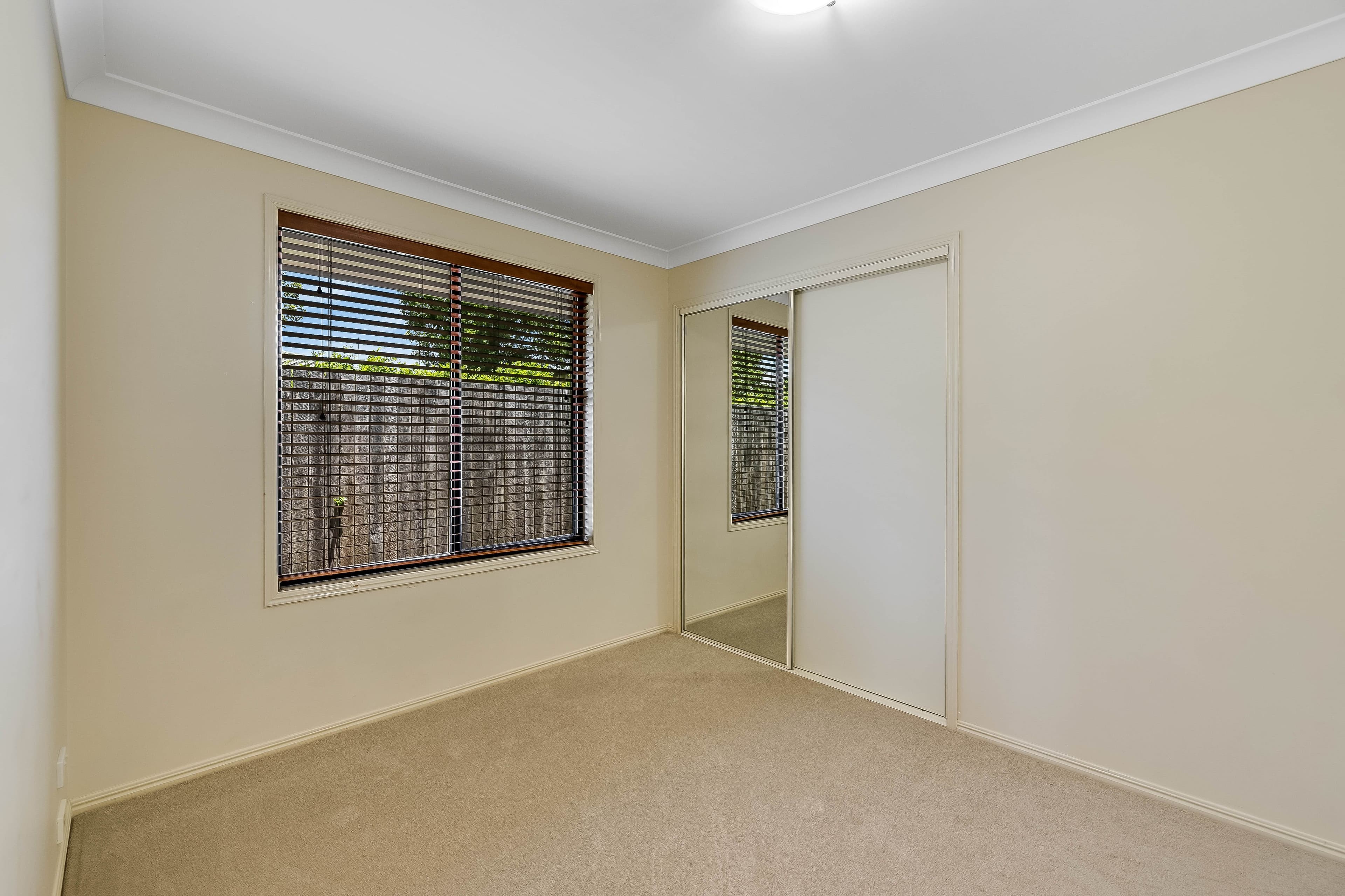 323 Ramsay Street, Middle Ridge QLD 4350, Middle Ridge - Thumbnail 6