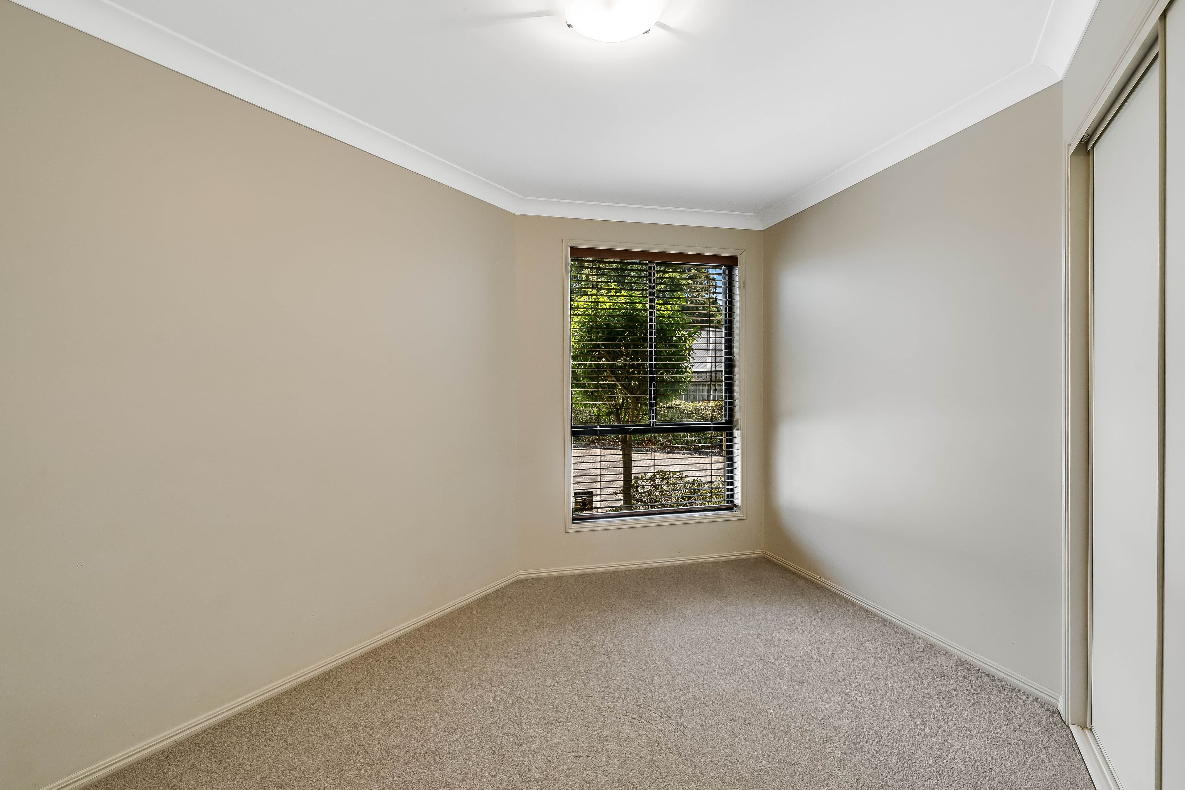 323 Ramsay Street, Middle Ridge QLD 4350, Middle Ridge - Thumbnail 7