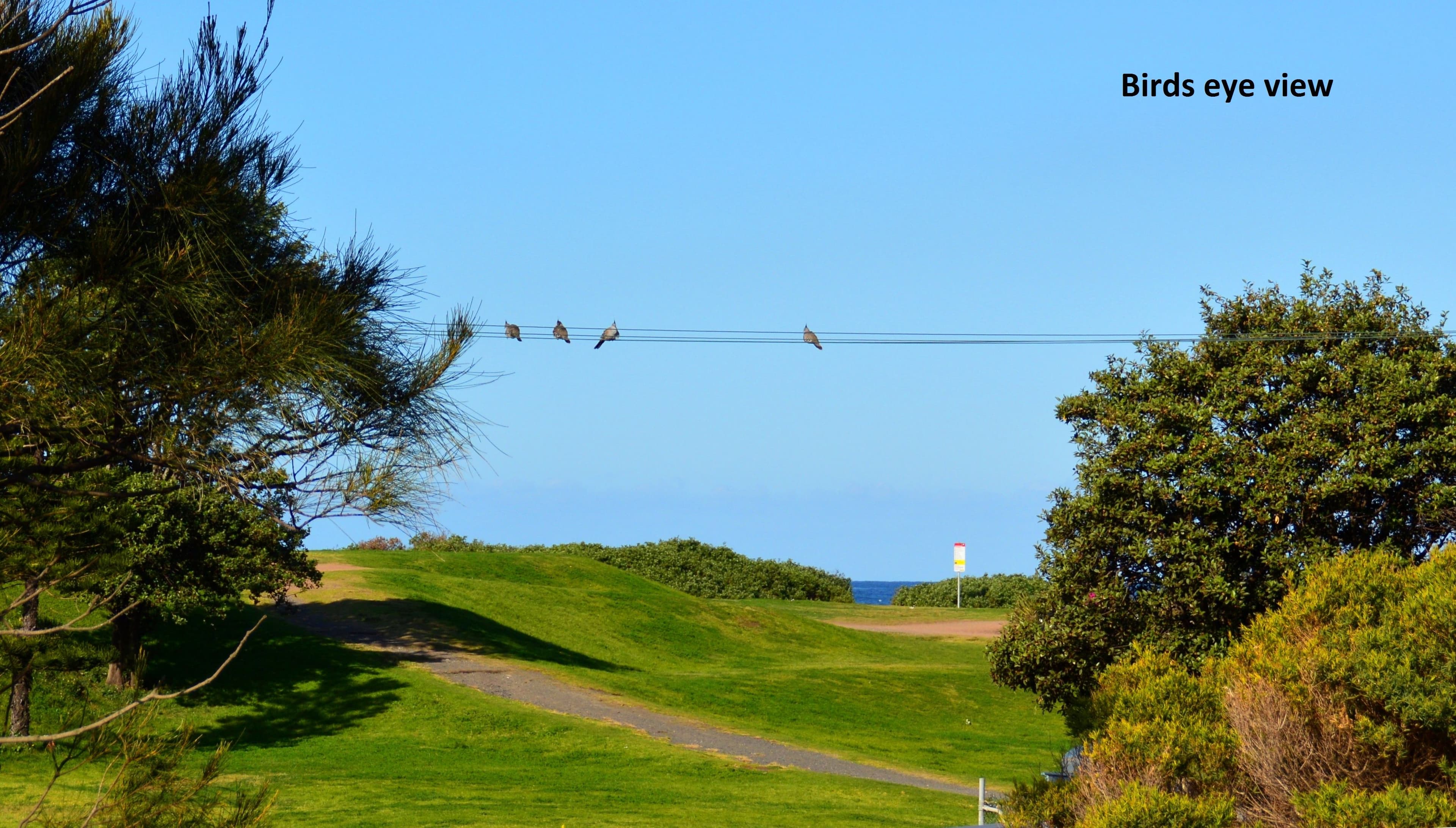 3 Ross Street, Wollongong NSW 2500, Wollongong - Thumbnail 5