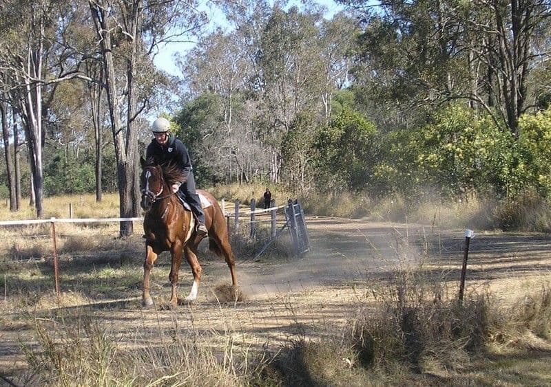 WANORA QLD 4306, Wanora - Image 1