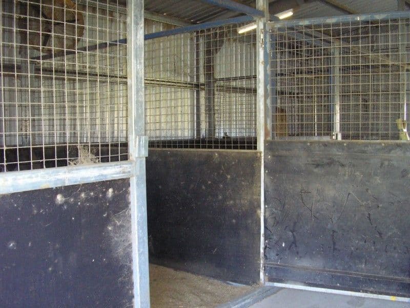 WANORA QLD 4306, Wanora - Thumbnail 3
