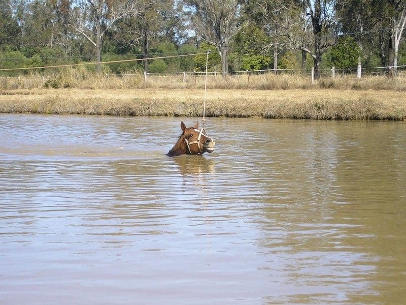 WANORA QLD 4306, Wanora - Thumbnail 4