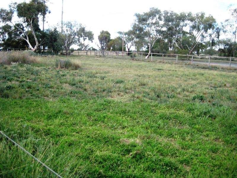 108 Parkes Road, CONDOBOLIN NSW 2877, Condobolin - Thumbnail 5