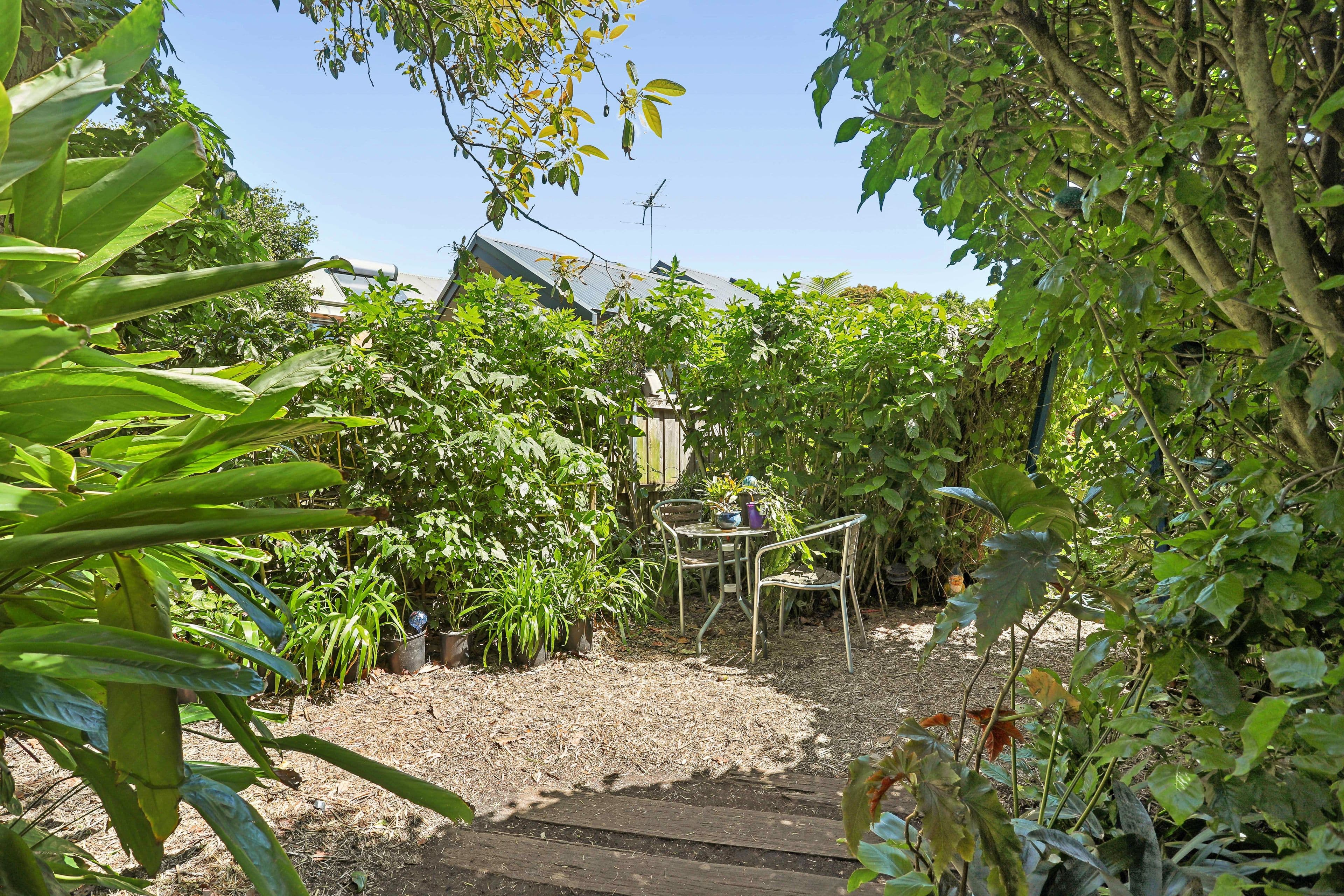 49 Henry Street, Lilyfield NSW 2040, Lilyfield - Thumbnail 6