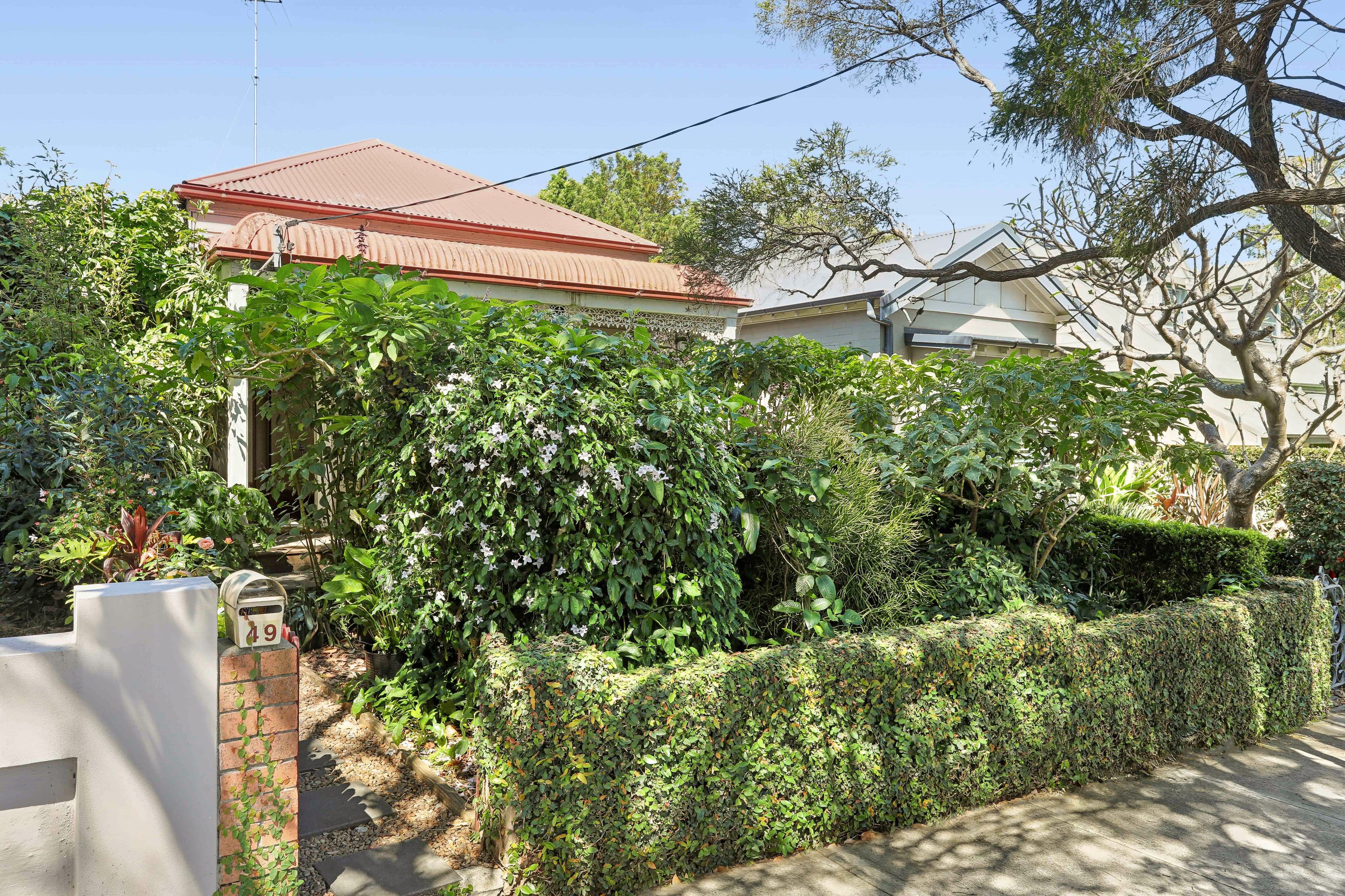 49 Henry Street, Lilyfield NSW 2040, Lilyfield - Thumbnail 8